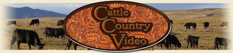 Cattle Country Header